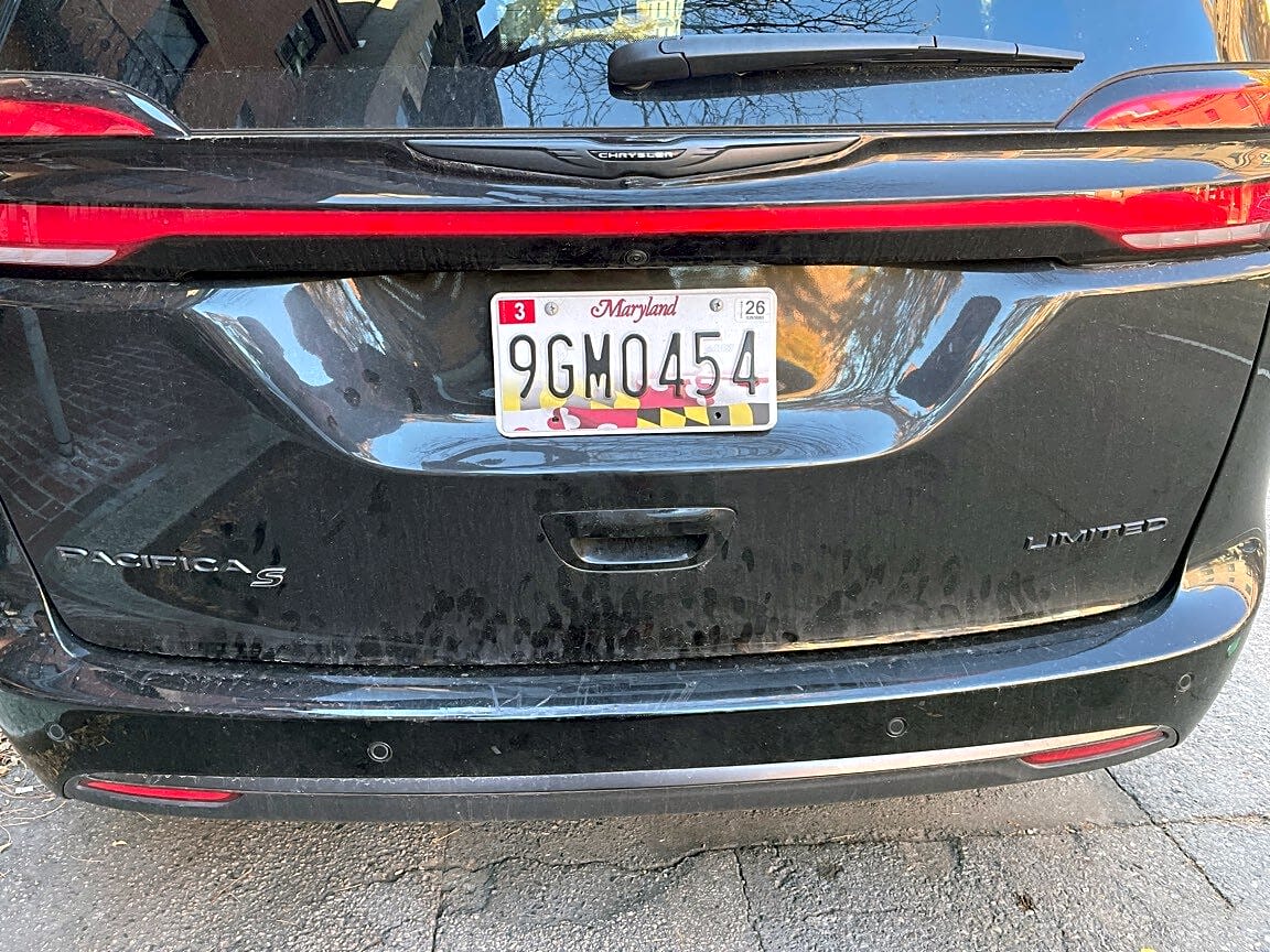 Image submitted with report