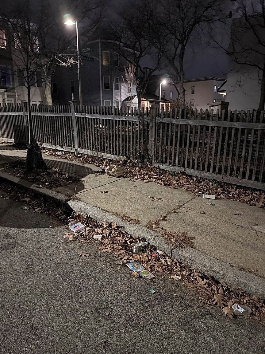 Image submitted with report