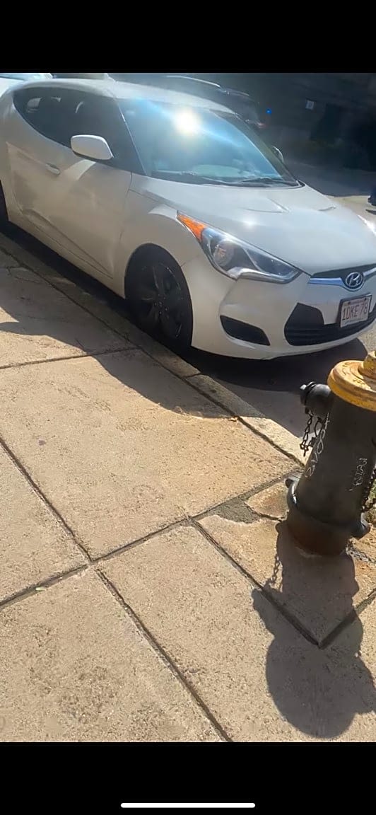 Image submitted with report