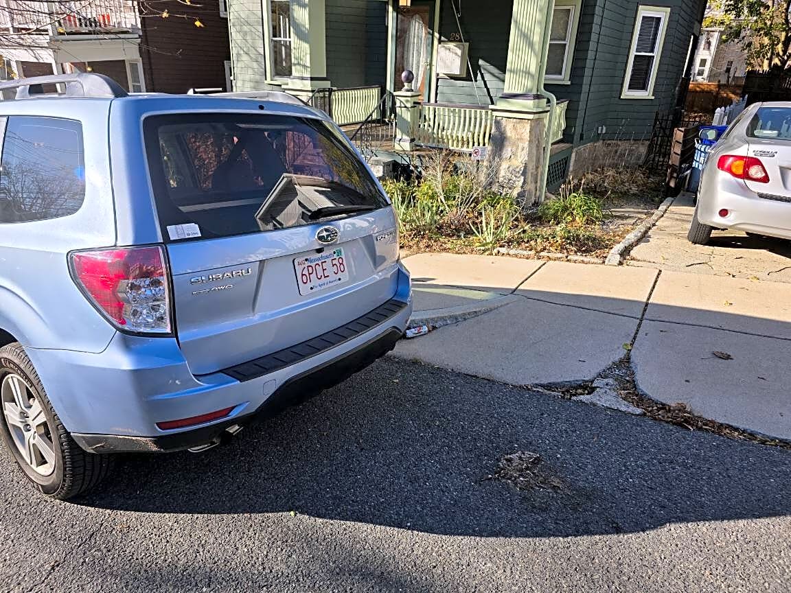 Image submitted with report