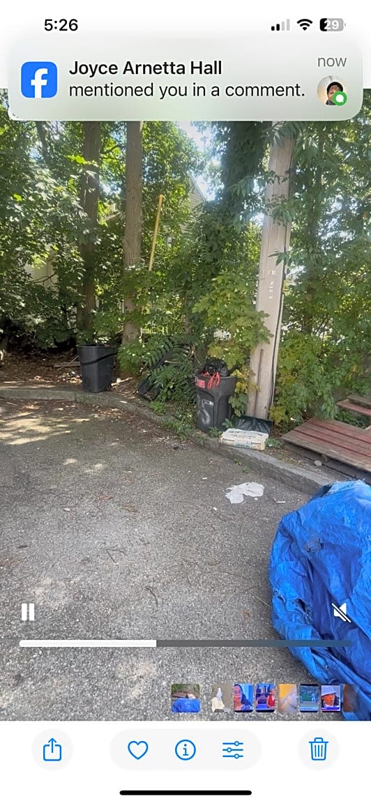 Image submitted with report