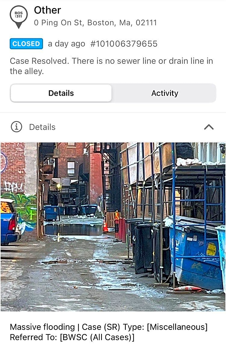 Image submitted with report