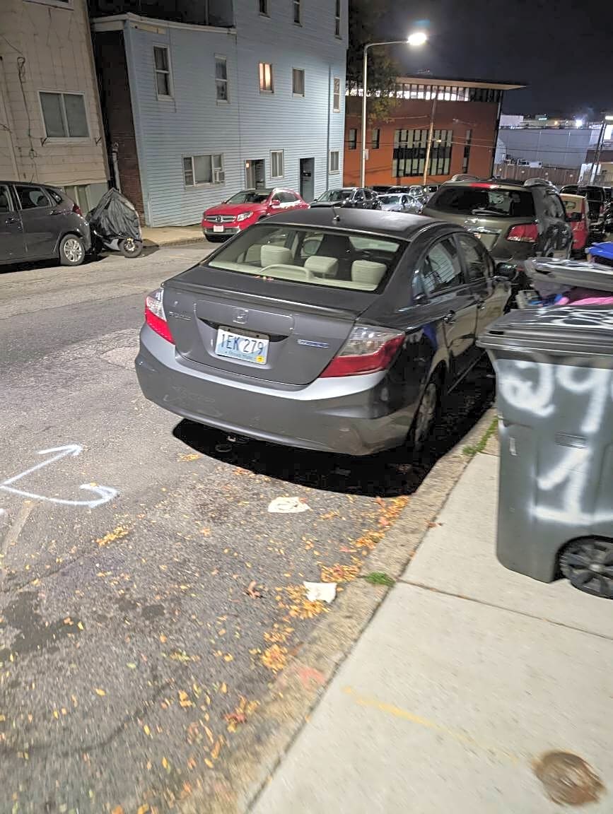Image submitted with report