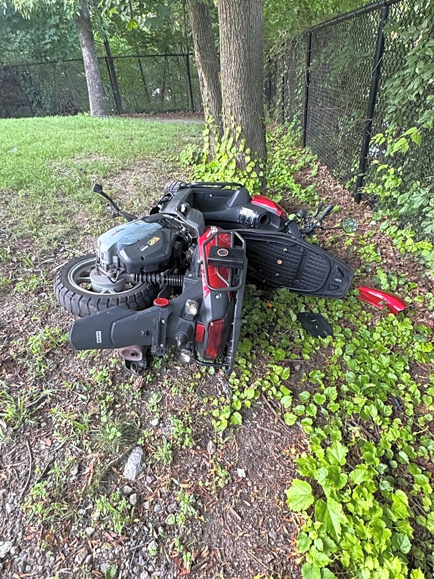 Image submitted with report