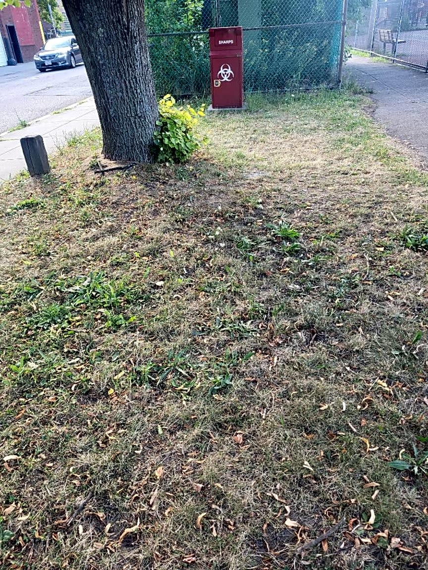 Image submitted with report