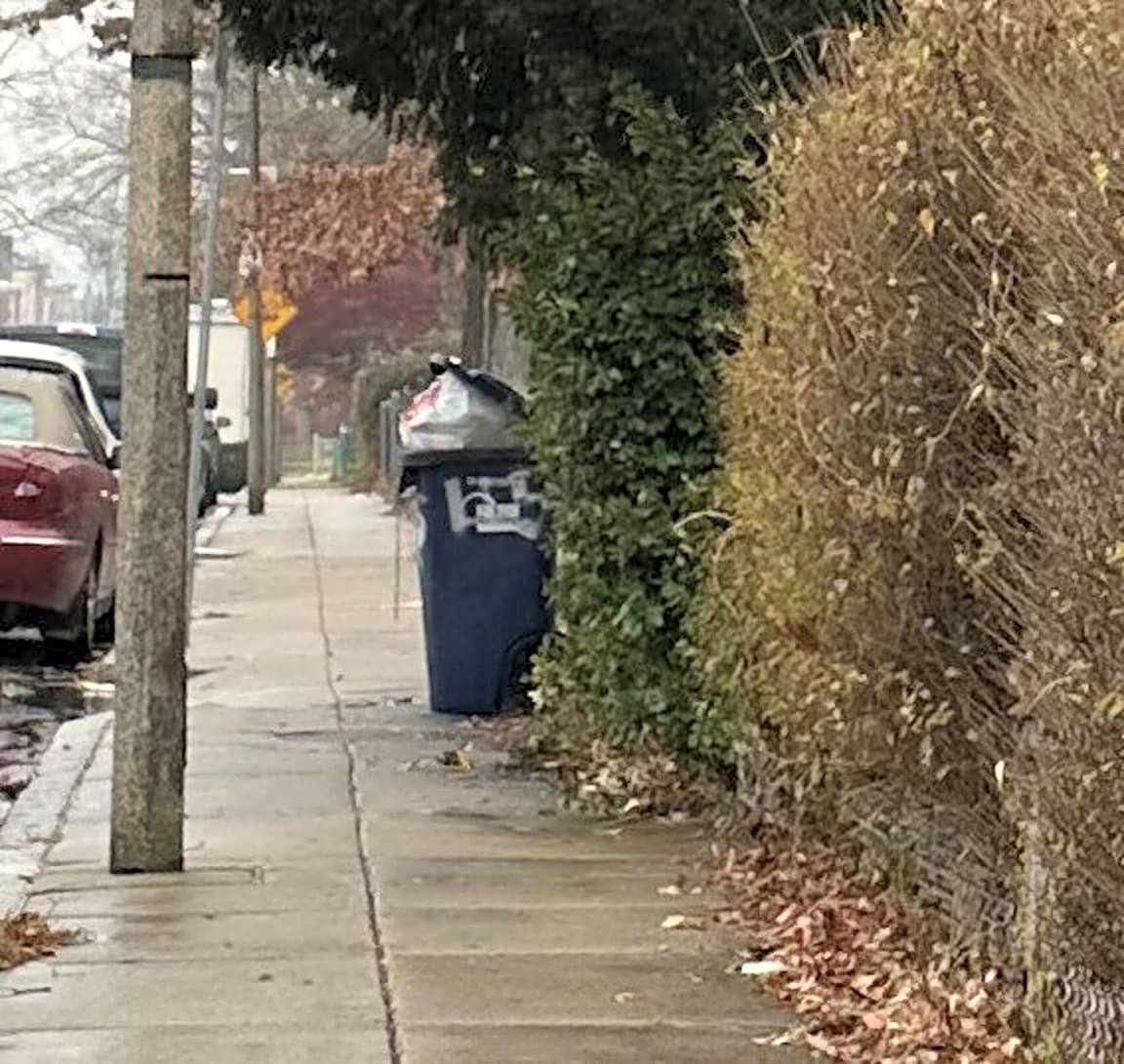 Image submitted with report