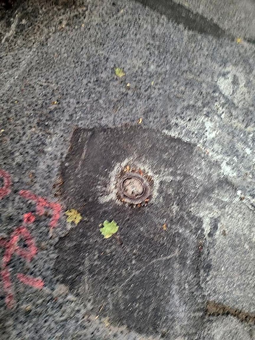 Image submitted with report