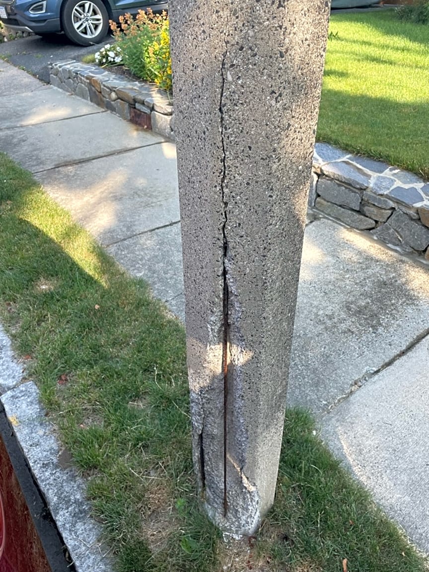 Image submitted with report