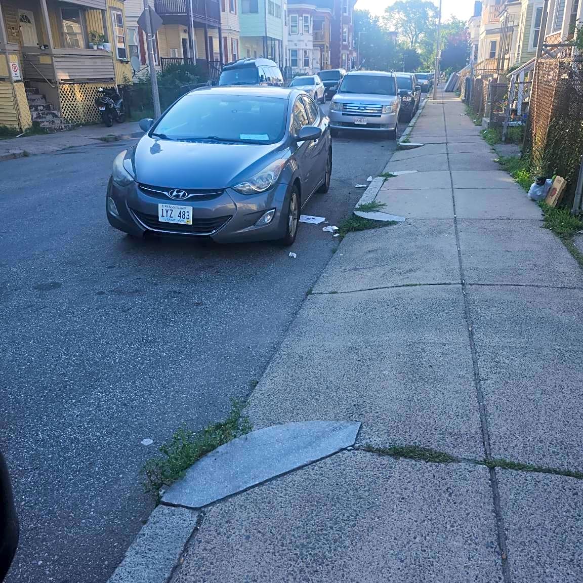 Image submitted with report