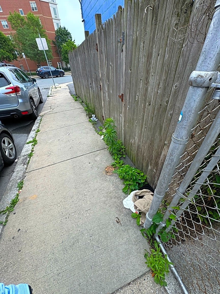 Image submitted with report