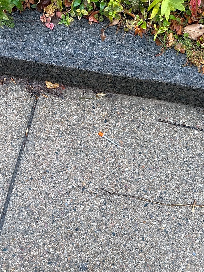 Image submitted with report