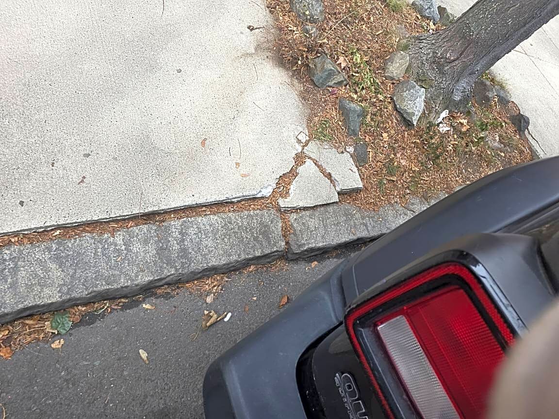 Image submitted with report