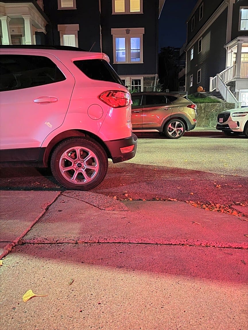 Image submitted with report