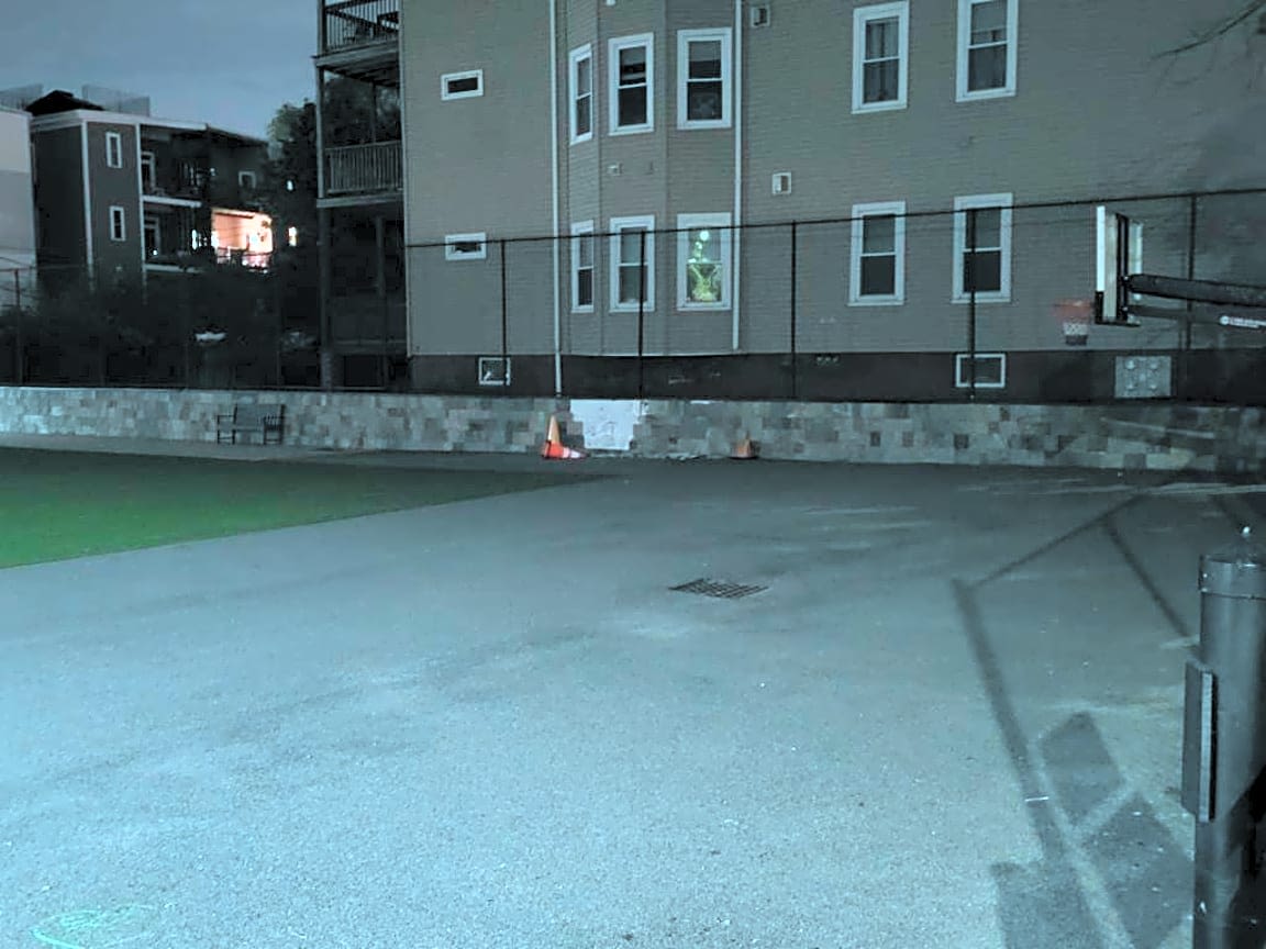 Image submitted with report