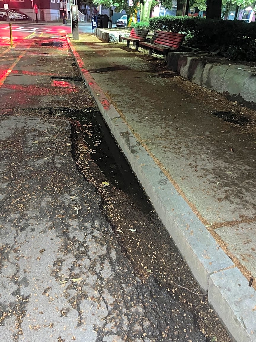 Image submitted with report