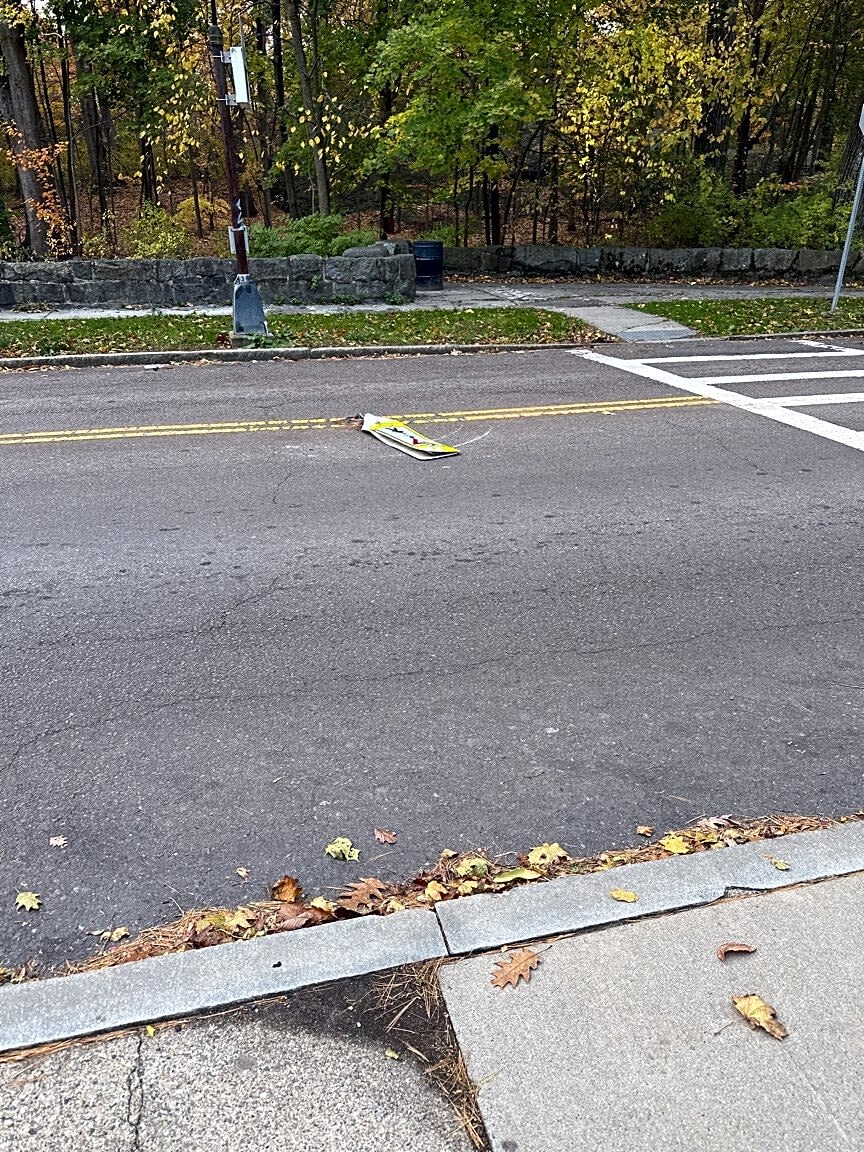 Image submitted with report