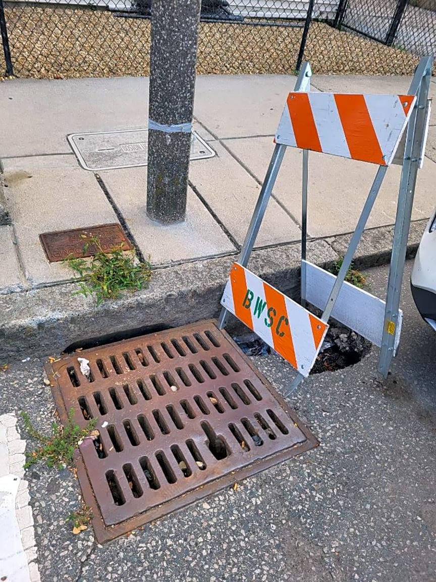 Image submitted with report