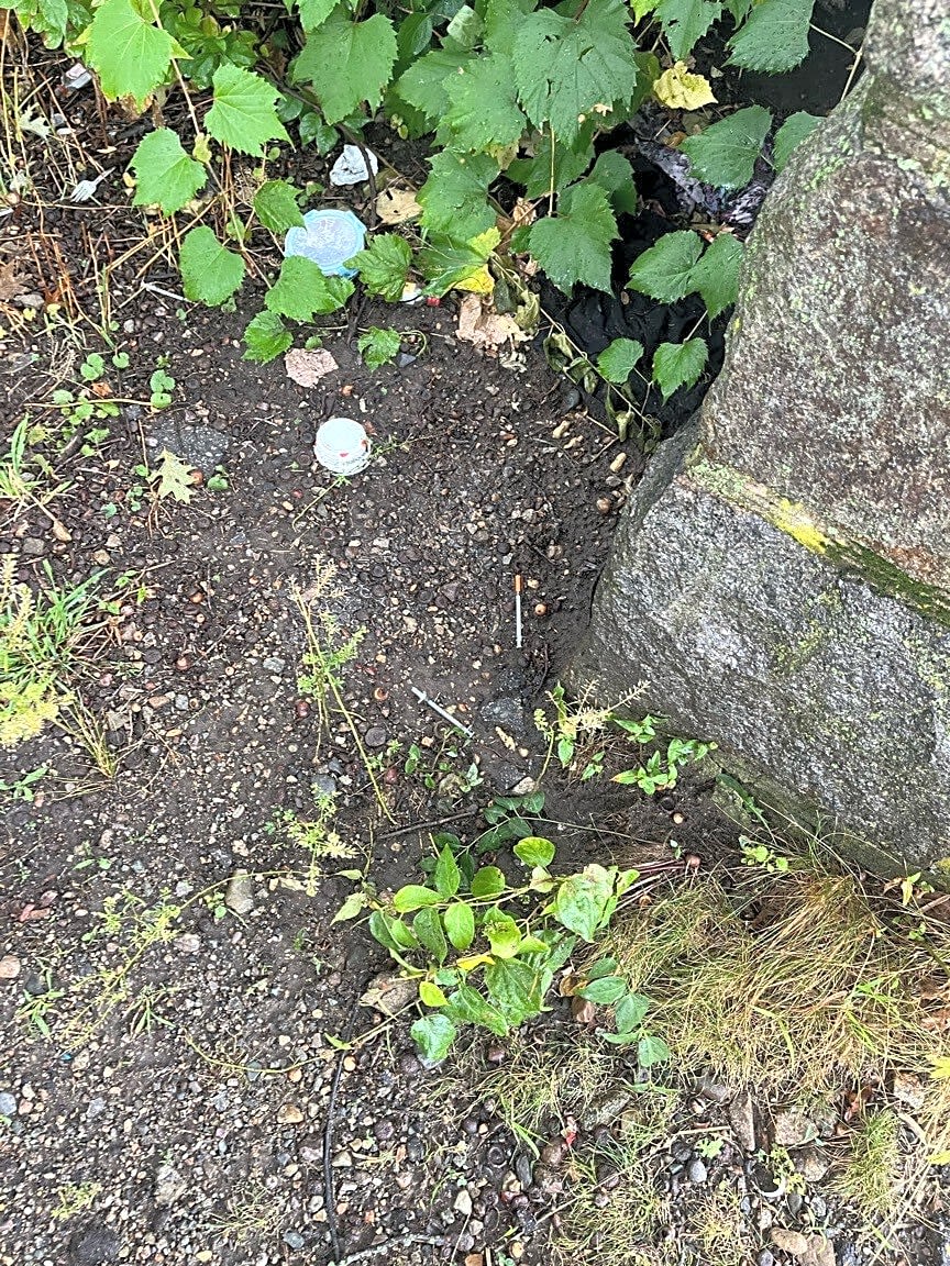 Image submitted with report