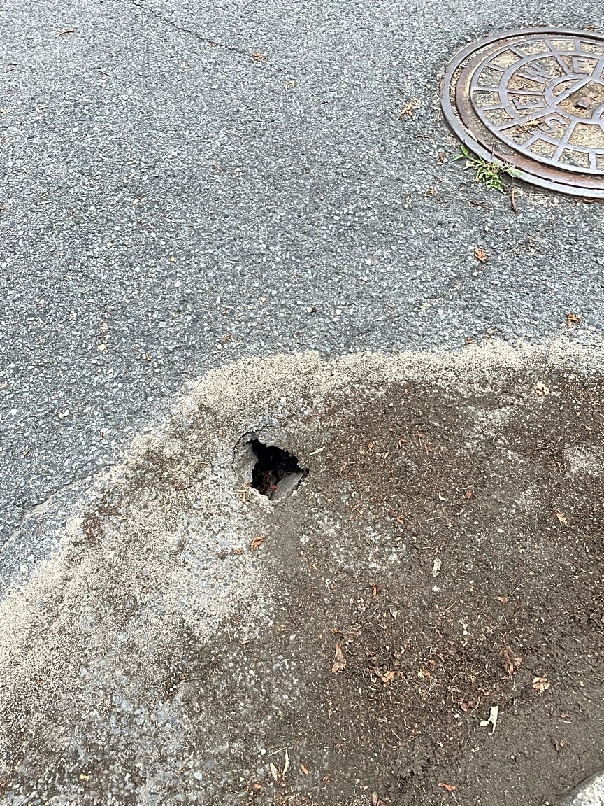 Image submitted with report