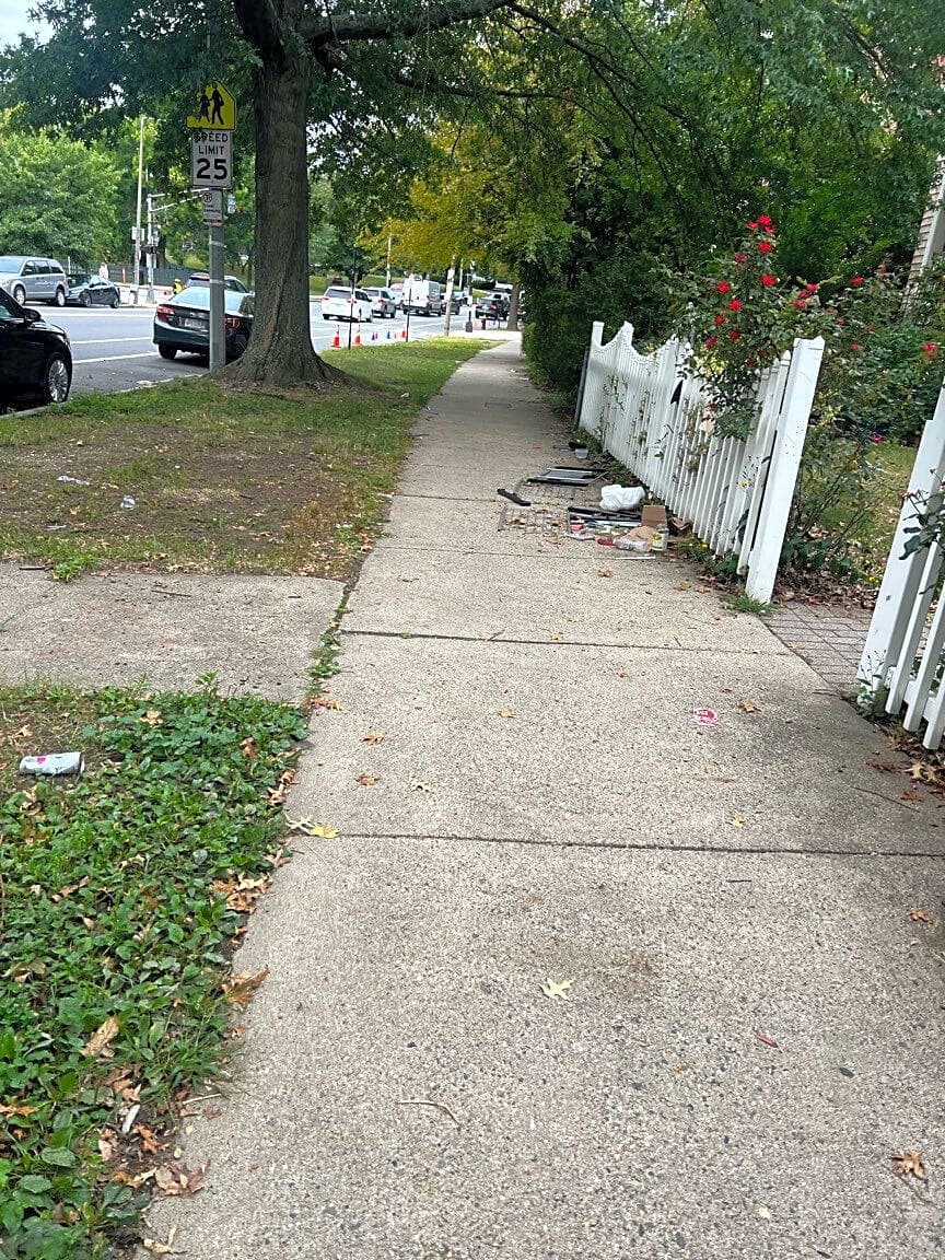 Image submitted with report