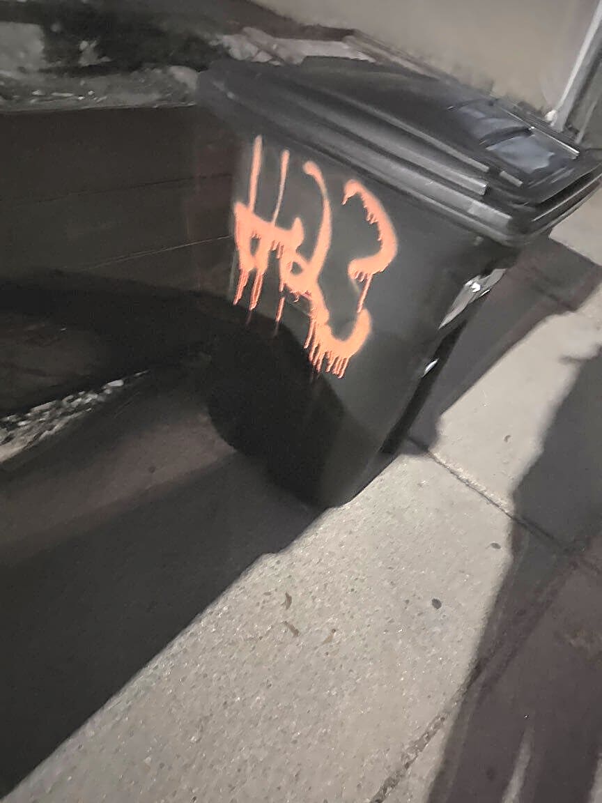 Image submitted with report