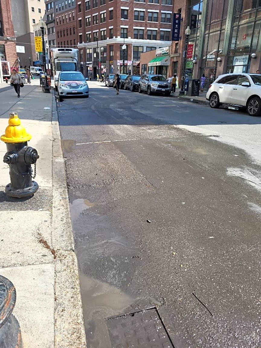 Image submitted with report