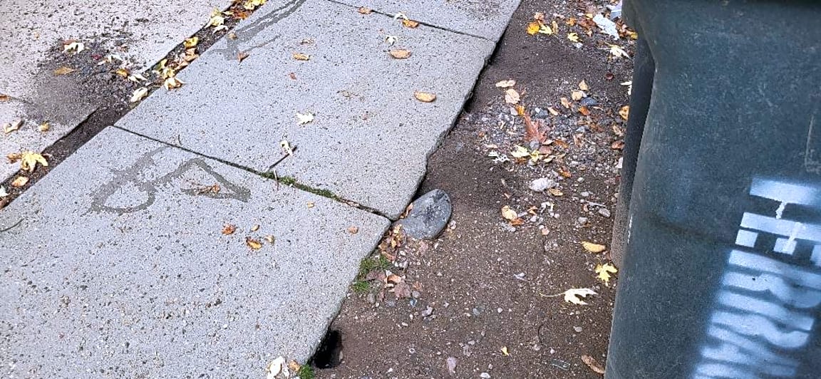 Image submitted with report