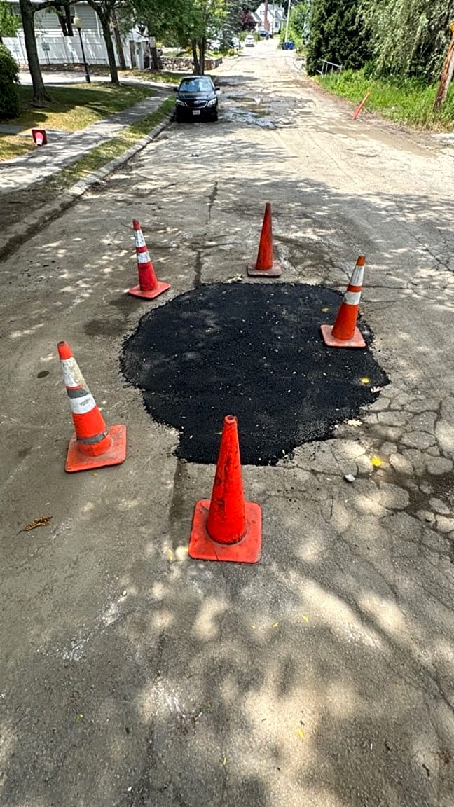 Image submitted with report