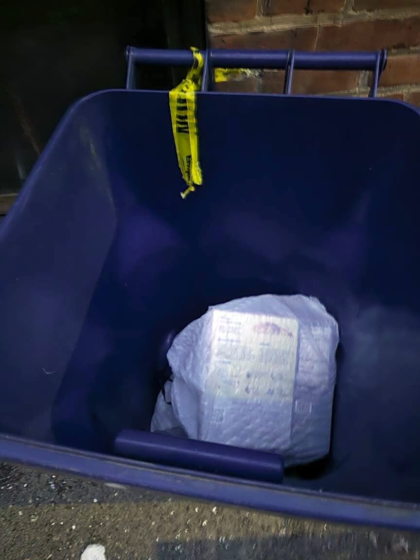 Image submitted with report