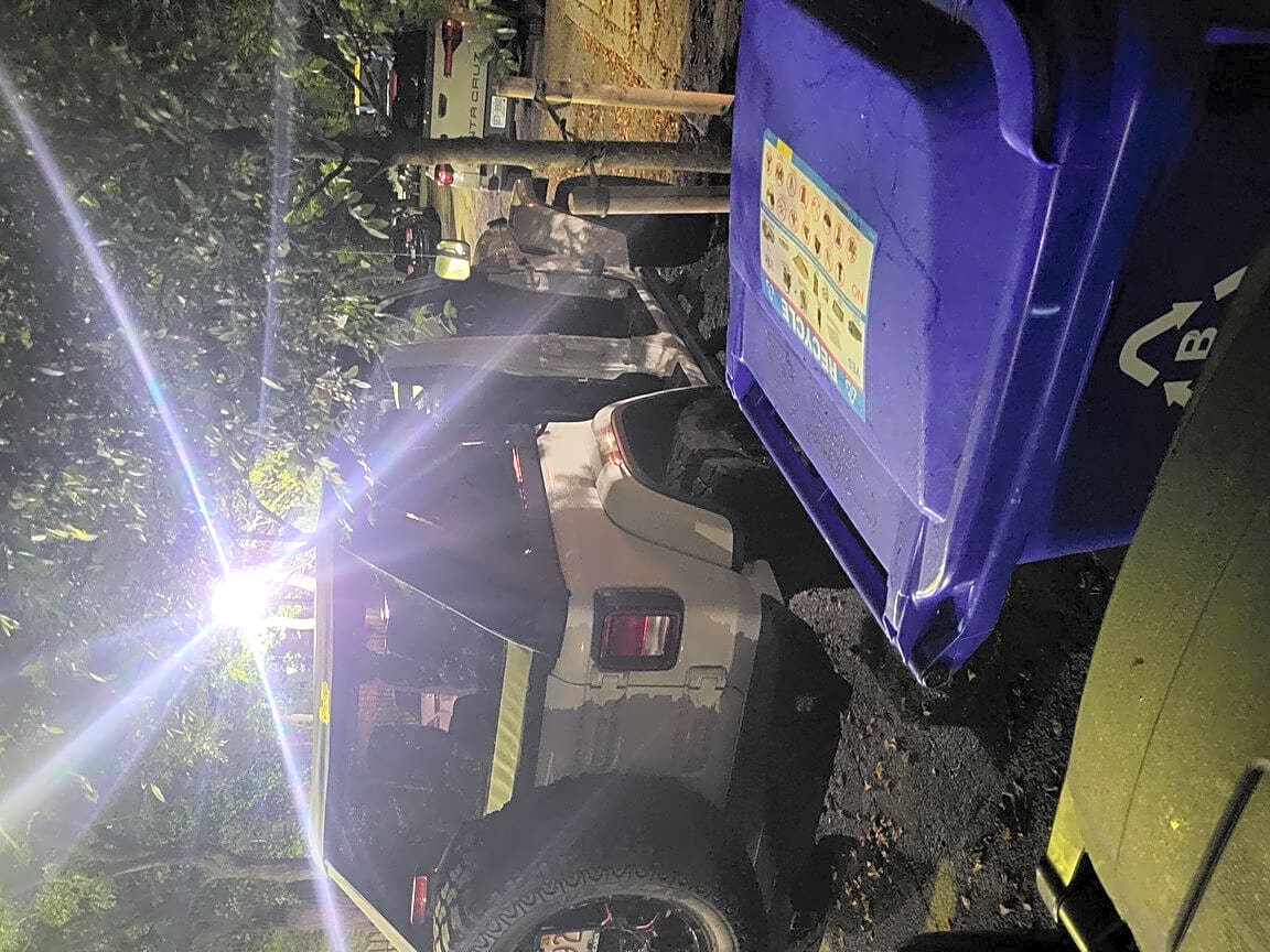 Image submitted with report