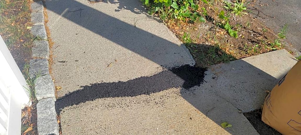 Image submitted with report