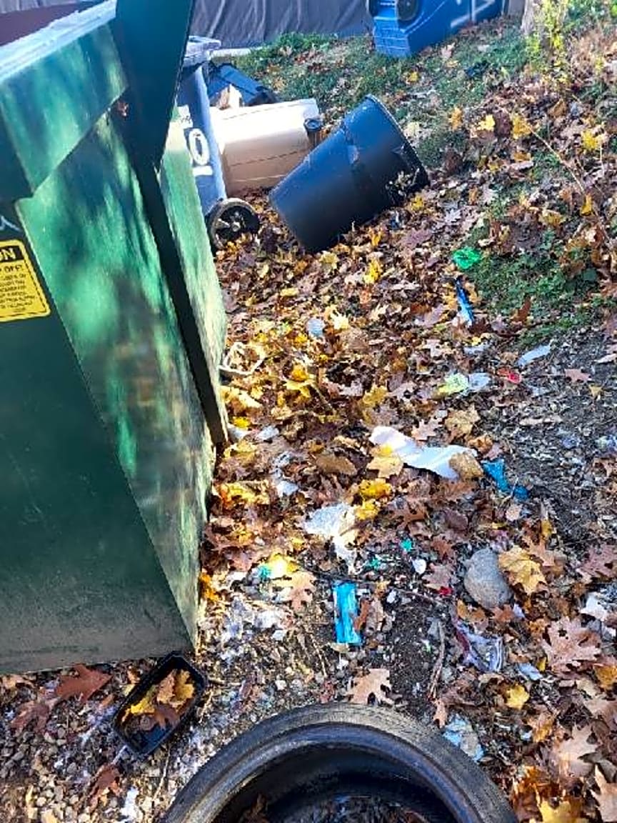 Image submitted with report