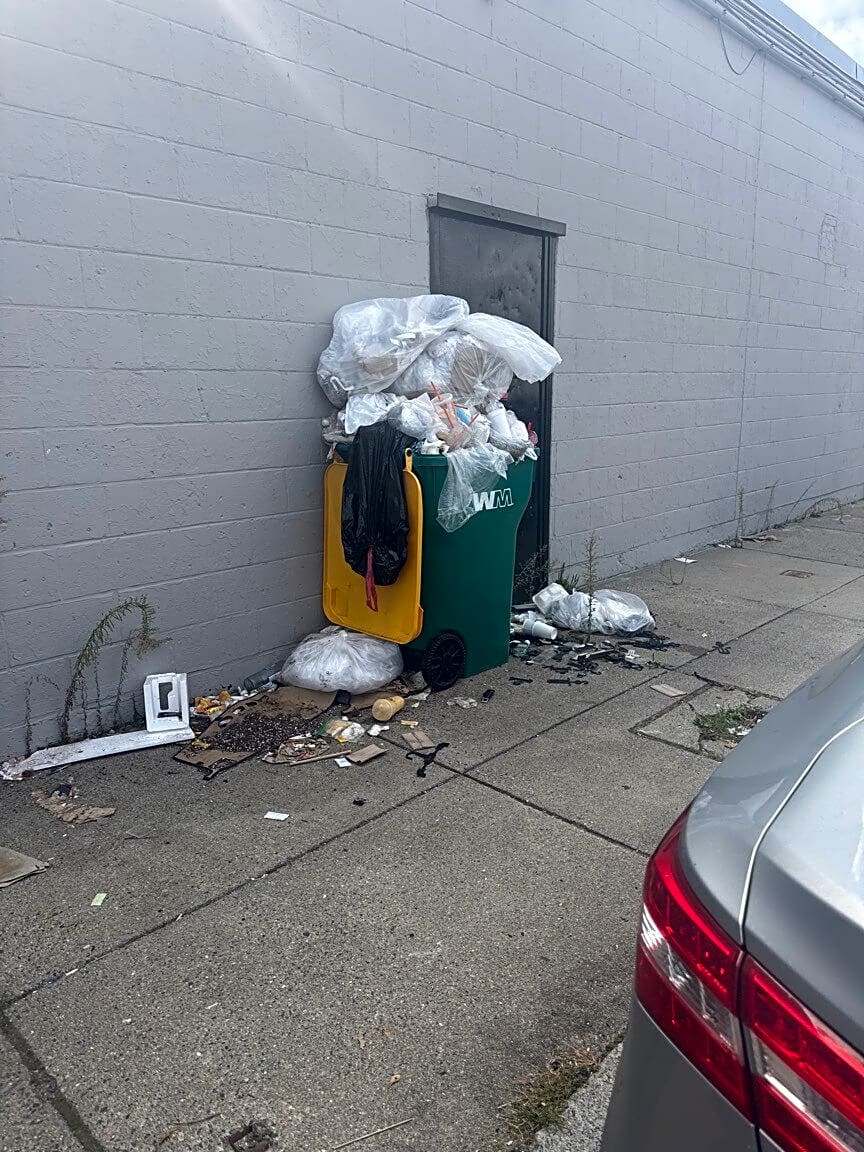 Image submitted with report