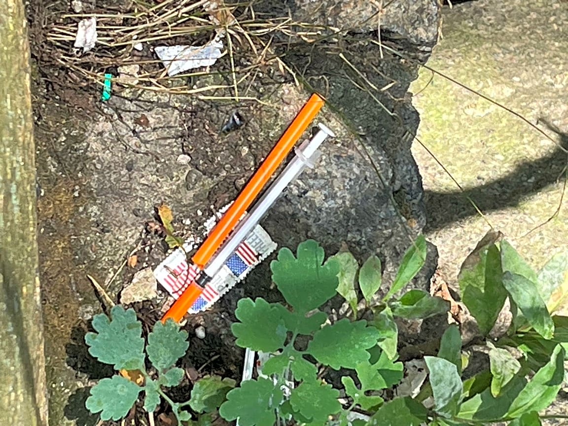 Image submitted with report