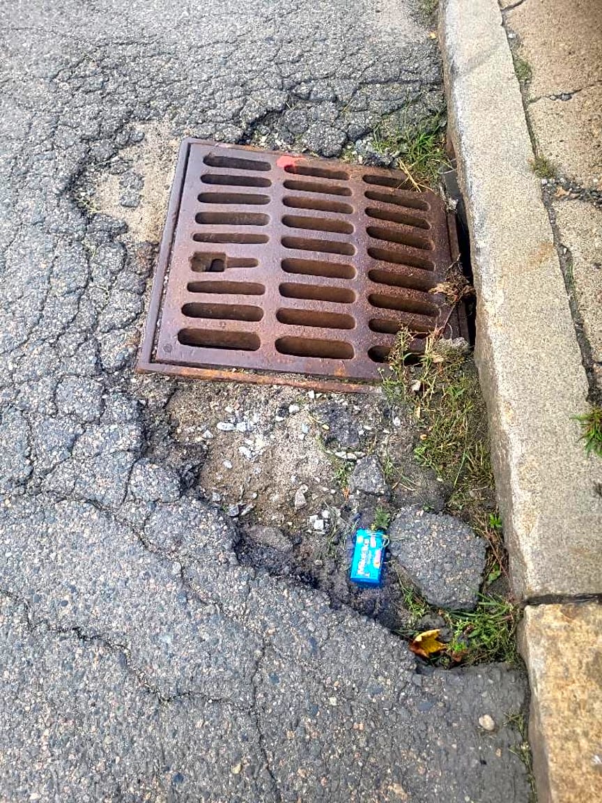 Image submitted with report