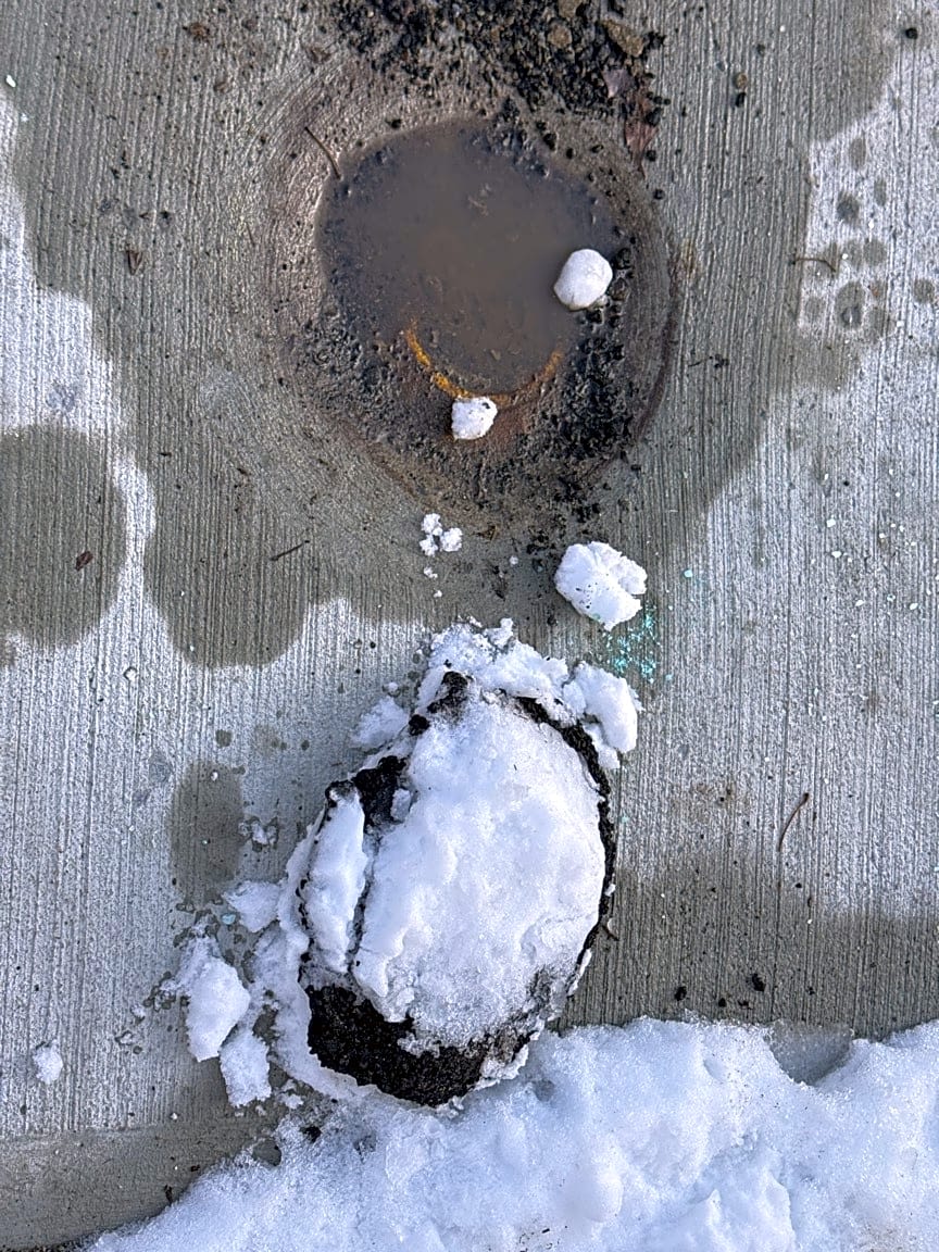 Image submitted with report
