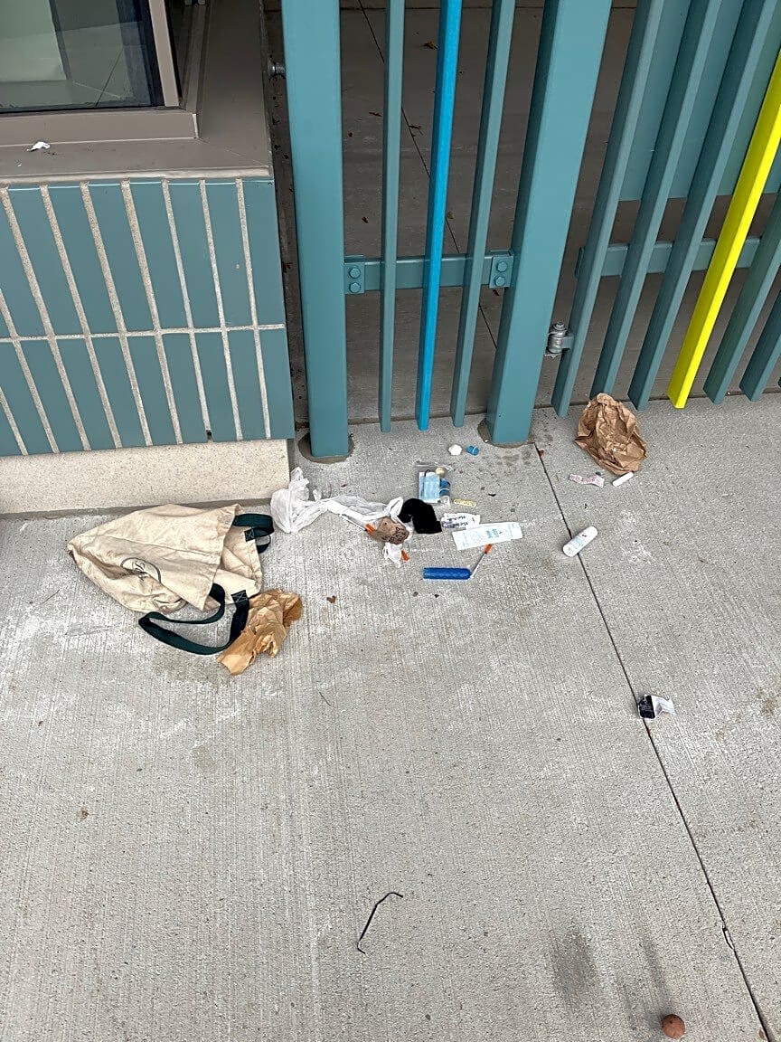 Image submitted with report