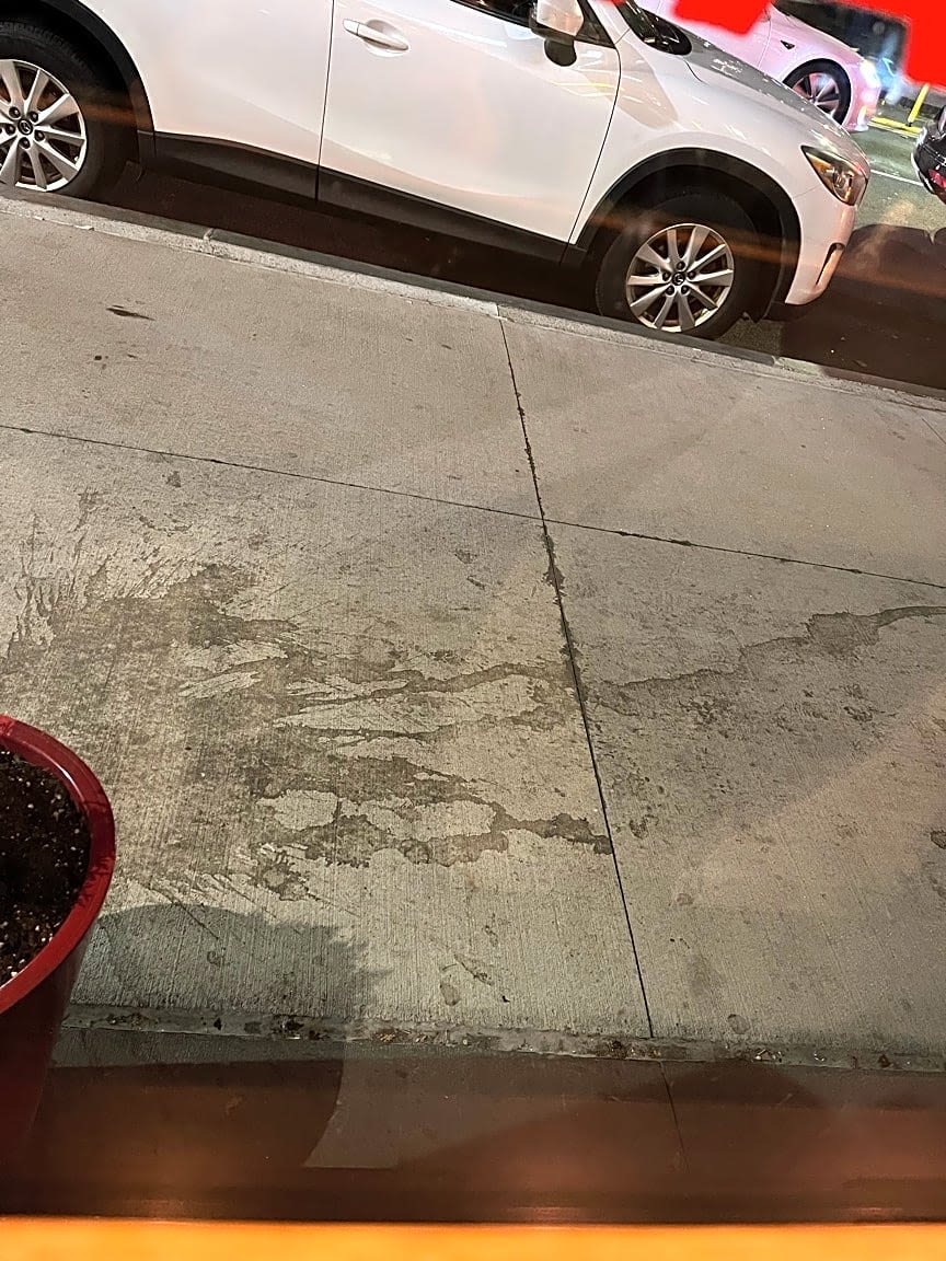 Image submitted with report