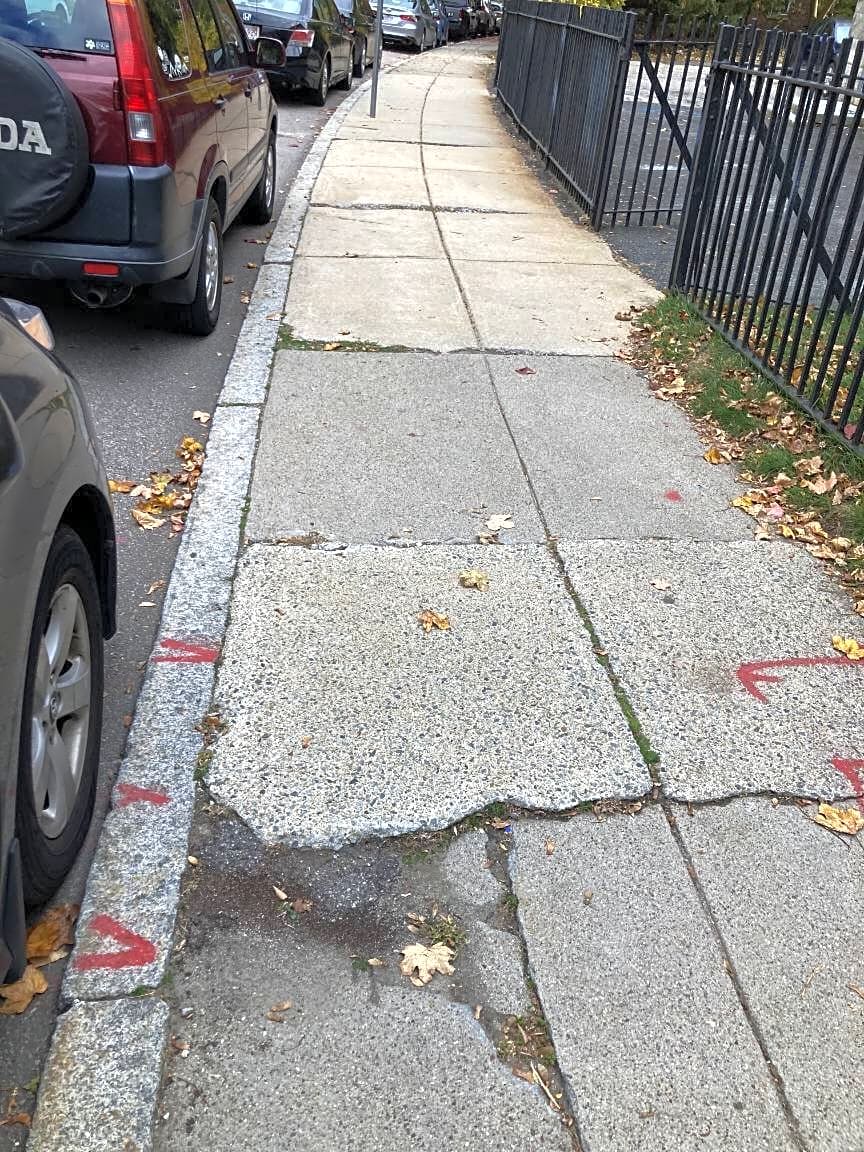 Image submitted with report