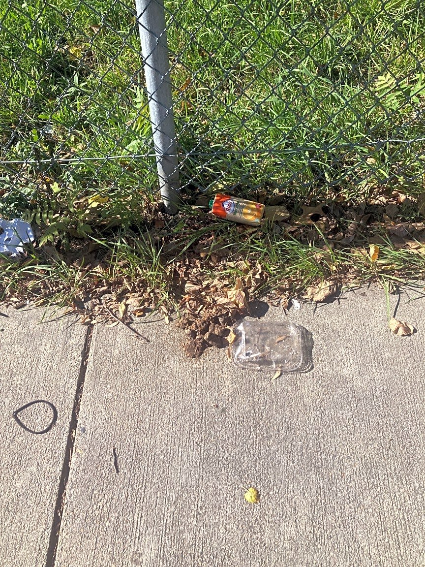 Image submitted with report