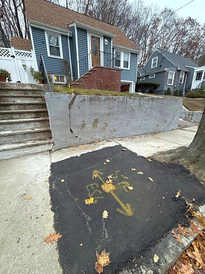 Image submitted with report