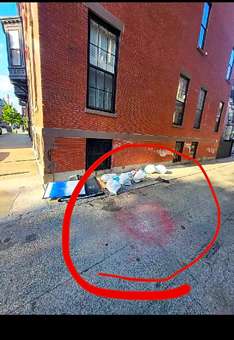 Image submitted with report