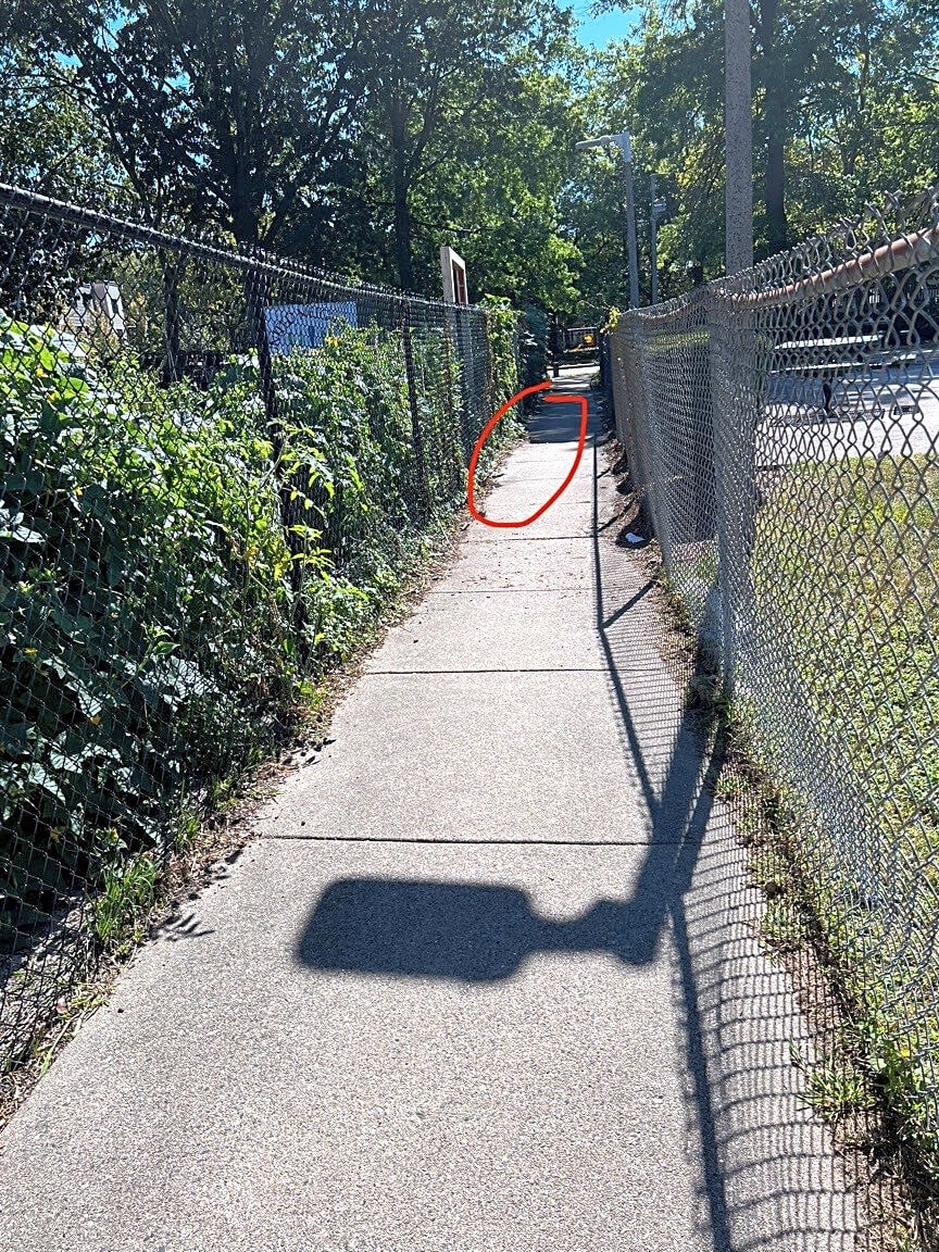 Image submitted with report