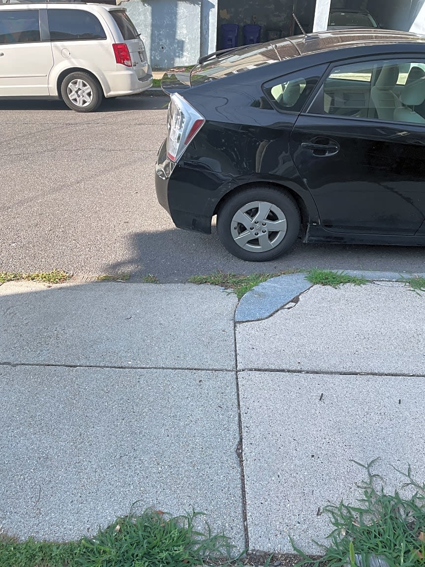 Image submitted with report