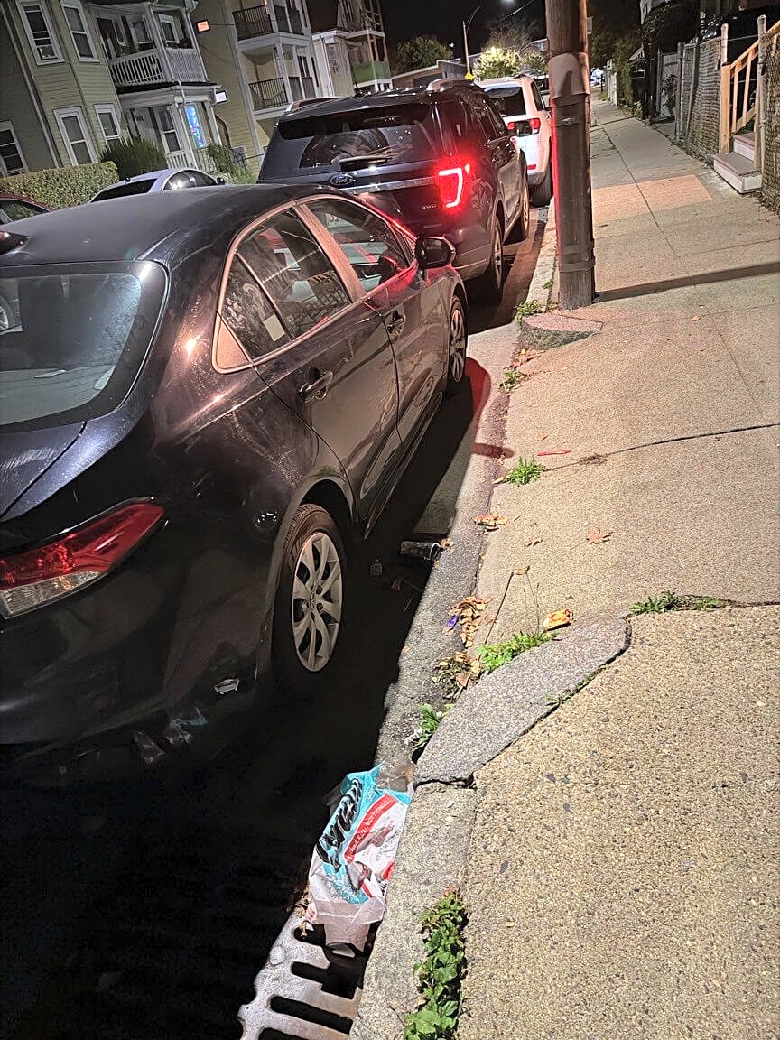 Image submitted with report
