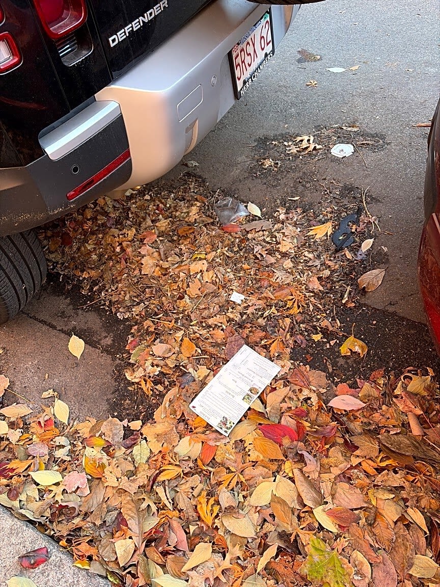 Image submitted with report