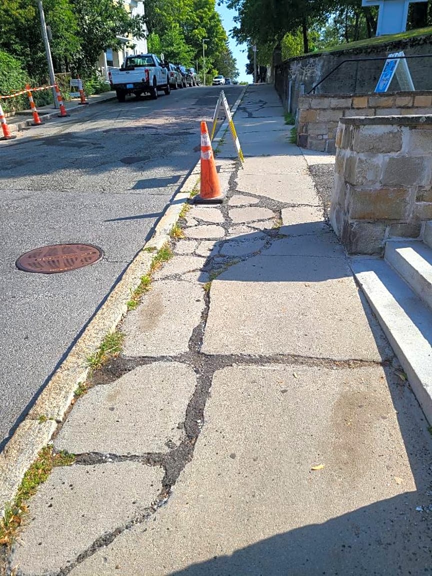 Image submitted with report