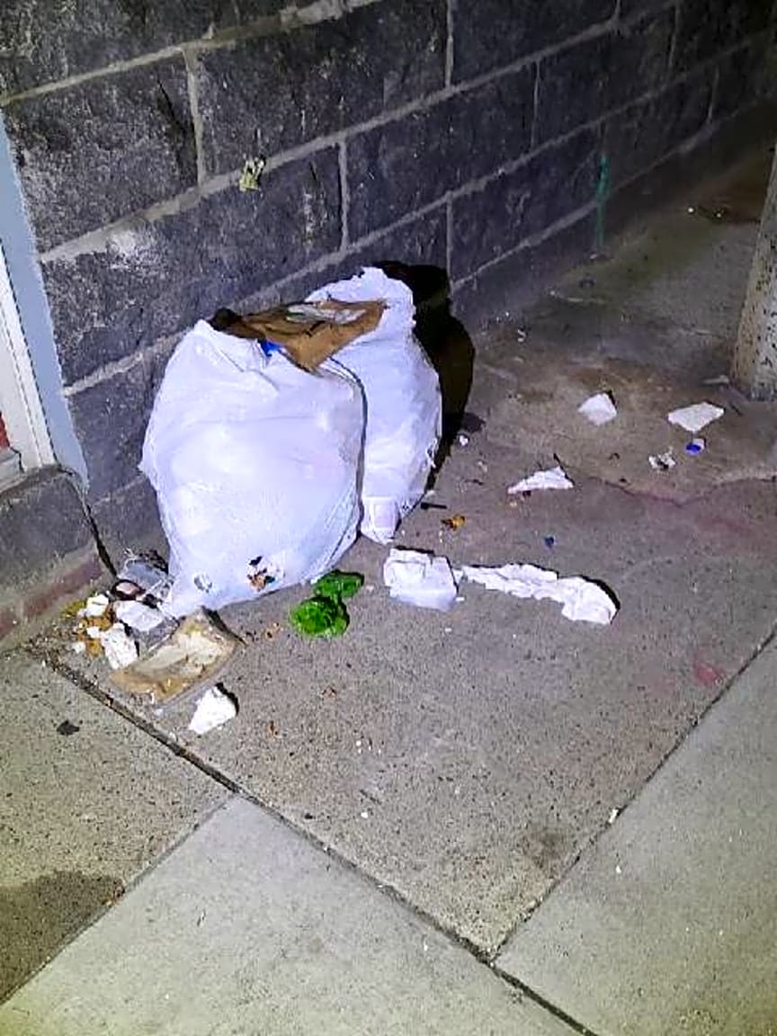 Image submitted with report