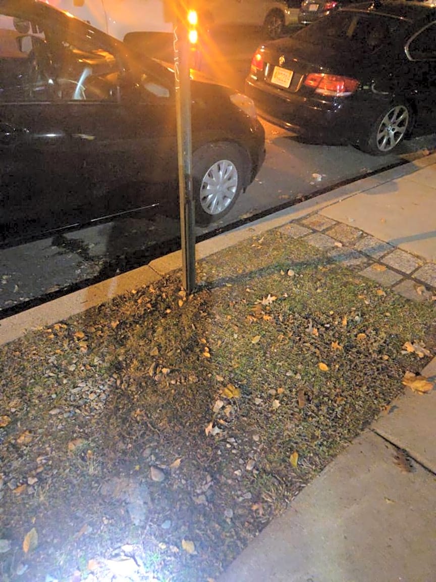 Image submitted with report