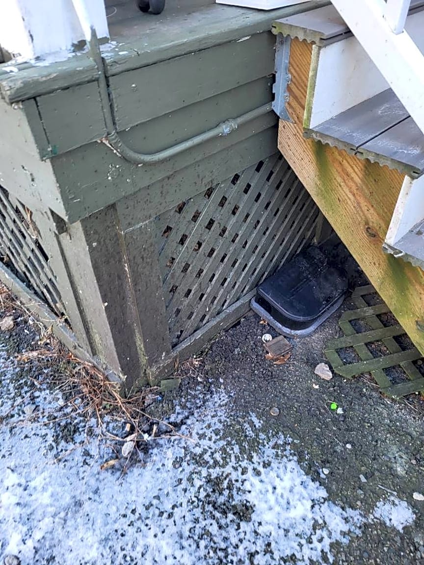 Image submitted with report